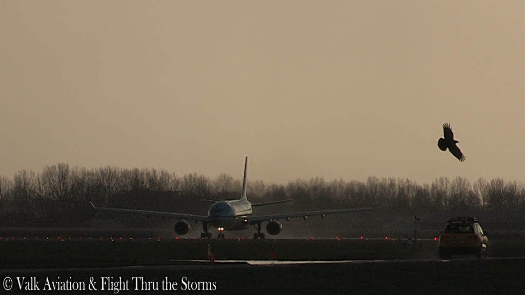 Last Flight of Captain Johan van der Sluis @ KLM A330.00_00_53_06.Still001